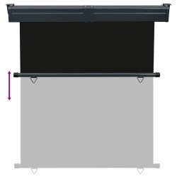 Auvent latéral de balcon 165x250 cm noir 537982537982