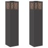 Lumière de chemin LED solaire 2 pcs Noir Acier laminé à froid 537989537989