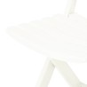 Chaises de jardin pliables lot de 2 Plastique Blanc 538023538023
