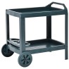 Chariot à boissons Vert 69x53x72 cm Plastique 538026538026