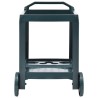 Chariot à boissons Vert 69x53x72 cm Plastique 538026538026