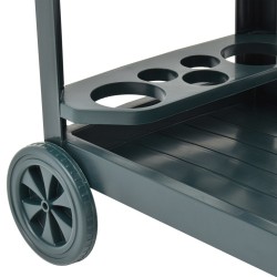Chariot à boissons Vert 69x53x72 cm Plastique 538026538026
