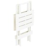 Table pliable de jardin blanc 45x43x50 cm plastique  538030538030