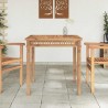 Table à dîner de jardin 80x80x80 cm Bois de teck solide 538038538038