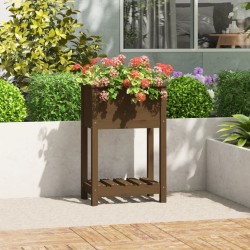 Jardinière avec étagère Marron miel 54x34,5x81 cm Bois de pin 538283538283