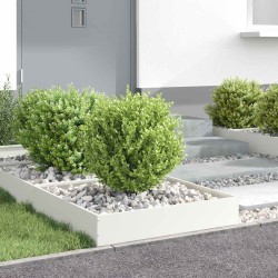 Bordure de Pelouse 6 pcs Blanc 60 x 60 x 13 cm Acier 538285538285