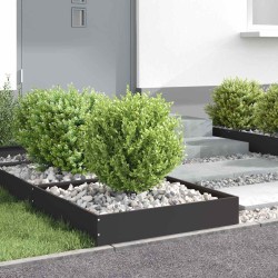 Bordure de Pelouse Noir 60 x 60 x 13 cm Acier 538292538292