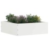 Bordure de Pelouse 6 pcs Blanc 40 x 40 x 13 cm Acier 538324538324