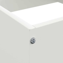 Bordure de Pelouse 6 pcs Blanc 40 x 40 x 13 cm Acier 538324538324