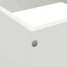 Bordure de Pelouse Blanc 40 x 40 x 13 cm Acier 538325538325
