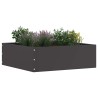 Bordure de Pelouse 6 pcs Noir 40 x 40 x 13 cm Acier 538326538326