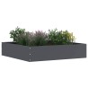 Bordure de Pelouse Anthracite 60 x 60 x 13 cm Acier 538342538342