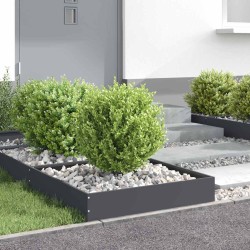 Bordure de Pelouse Anthracite 60 x 60 x 13 cm Acier 538342538342