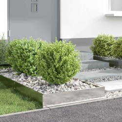 Bordure de Pelouse Argent 60 x 60 x 13 cm Acier inoxydable 538349538349