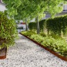 Bordures de pelouse 50 pcs 10x103 cm acier corten flexible 538364538364
