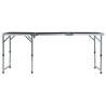 Table pliable de camping Gris Aluminium 180x60 cm 538378538378