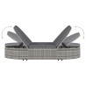 Chaise longue à 2 places avec coussins Résine tressée Gris 538440538440