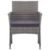 Fauteuils de jardin coussins lot de 2 Anthracite Résine tressée 538565538565