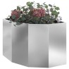 Jardinière d'Angle Argent 60 x 60 x 50 cm Acier galvanisé 538672538672