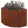 Jardinière d'Angle Rouillé 60 x 60 x 50 cm 538673538673