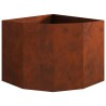 Jardinière d'Angle Rouillé 60 x 60 x 50 cm 538673538673