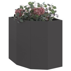 Jardinière d'Angle Noir 45 x 45 x 50 cm Acier 538674538674