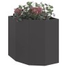 Jardinière d'Angle Noir 45 x 45 x 50 cm Acier 538674538674