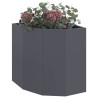 Jardinière d'Angle Anthracite 45 x 45 x 50 cm Acier 538676538676