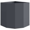 Jardinière d'Angle Anthracite 45 x 45 x 50 cm Acier 538676538676