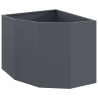 Jardinière d'Angle Anthracite 60 x 60 x 50 cm Acier 538687538687