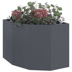 Jardinière d'Angle Anthracite 60 x 60 x 50 cm Acier 538687538687