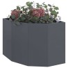 Jardinière d'Angle Anthracite 60 x 60 x 50 cm Acier 538687538687
