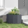 Jardinière d'Angle Anthracite 60 x 60 x 50 cm Acier 538687538687