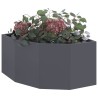 Jardinière d'Angle Anthracite 60 x 60 x 35 cm Acier 538689538689