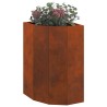 Jardinière d'Angle Rouillé 30 x 30 x 50 cm 538690538690