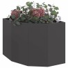 Jardinière d'Angle Noir 60 x 60 x 50 cm Acier 538691538691