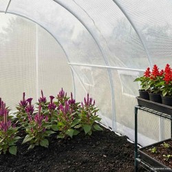 Serre 13,5 m² 450x300x200 cm 538696538696