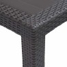 Table de jardin Marron 220x90x72 cm Plastique Aspect de rotin 538746538746