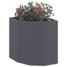 Jardinière d'Angle Anthracite 30 x 30 x 35 cm Acier 538751538751