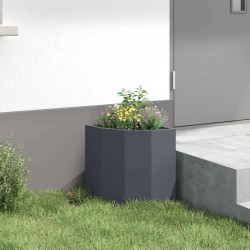 Jardinière d'Angle Anthracite 30 x 30 x 35 cm Acier 538751538751