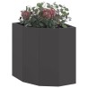 Jardinière d'Angle Noir 30 x 30 x 35 cm Acier 538764538764