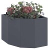 Jardinière d'Angle Anthracite 45 x 45 x 35 cm Acier 538784538784