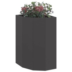 Jardinière d'Angle Noir 30 x 30 x 50 cm Acier 538790538790