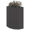 Jardinière d'Angle Noir 30 x 30 x 50 cm Acier 538790538790