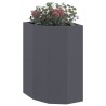 Jardinière d'Angle Anthracite 30 x 30 x 50 cm Acier 538791538791