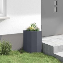 Jardinière d'Angle Anthracite 30 x 30 x 50 cm Acier 538791538791