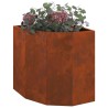 Jardinière d'Angle Rouillé 45 x 45 x 50 cm 538829538829