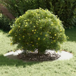 adapté pour anneaux d'arbre plats 5 pcs Blanc Ø50 / 80 cm Acier 538837538837
