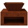 Braise Rouillé 50 x 50 x 40 cm Acier patiné 538856538856