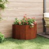 Jardinière Rouillé 90 x 45 x 50 cm 538867538867